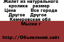 Жилет из натурального кролика,44размер › Цена ­ 500 - Все города Другое » Другое   . Кемеровская обл.,Мыски г.